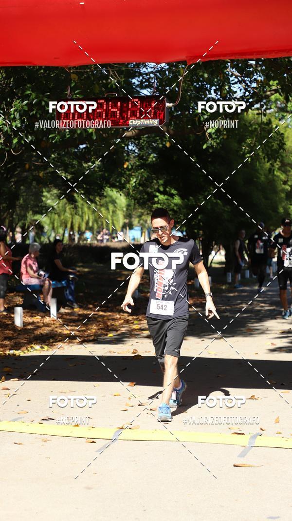 Acquista le foto dell'eventoPIT BULL RUNNING in Fotop