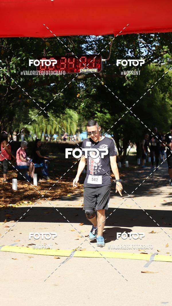 Acquista le foto dell'eventoPIT BULL RUNNING in Fotop