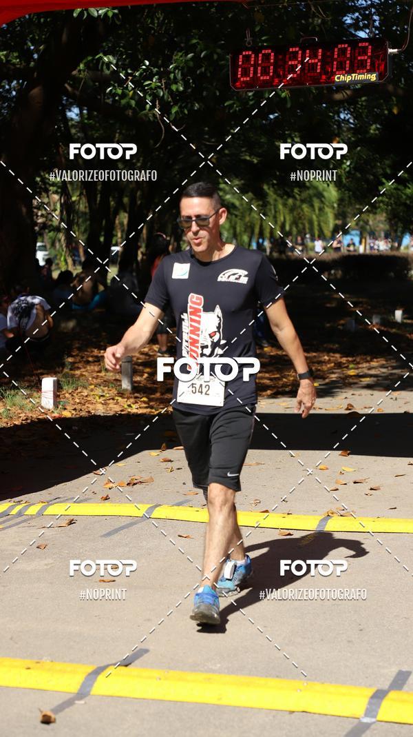 Acquista le foto dell'eventoPIT BULL RUNNING in Fotop