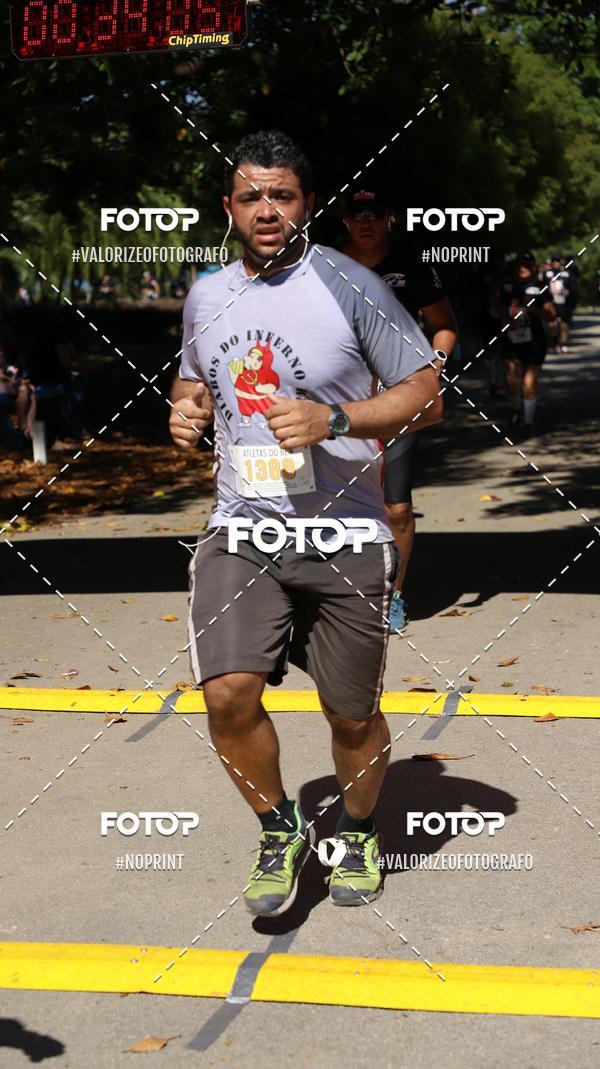 Acquista le foto dell'eventoPIT BULL RUNNING in Fotop