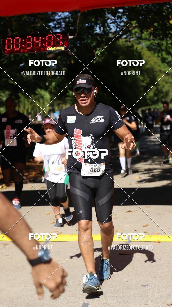 Acquista le foto dell'eventoPIT BULL RUNNING in Fotop