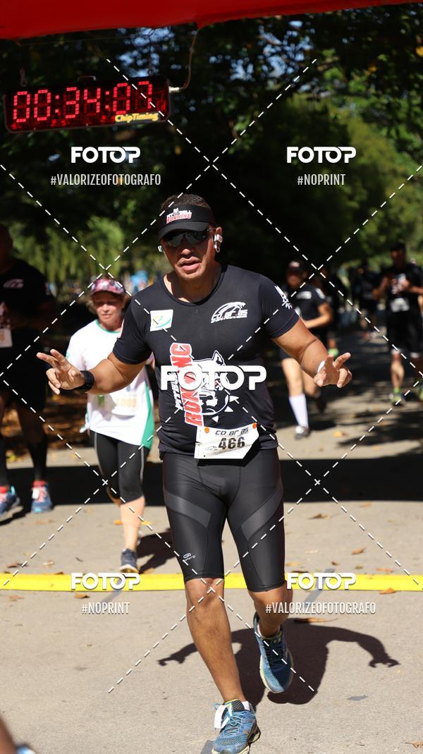 Acquista le foto dell'eventoPIT BULL RUNNING in Fotop