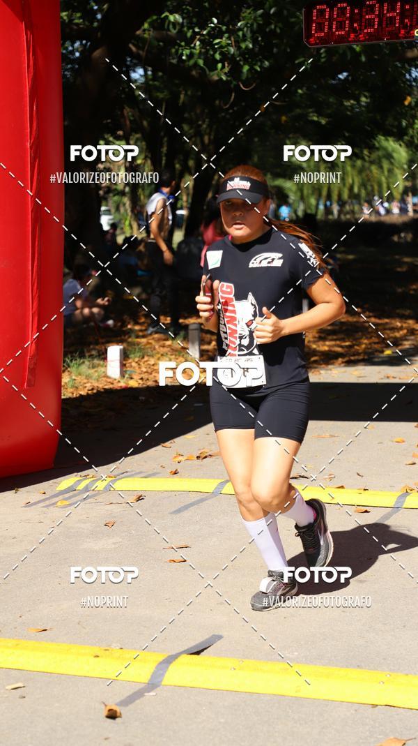 Acquista le foto dell'eventoPIT BULL RUNNING in Fotop