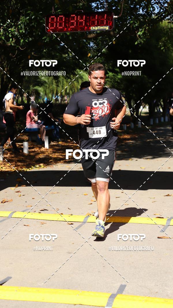 Acquista le foto dell'eventoPIT BULL RUNNING in Fotop