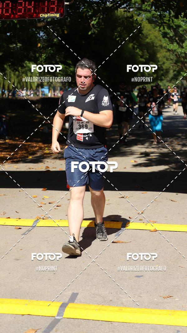 Acquista le foto dell'eventoPIT BULL RUNNING in Fotop