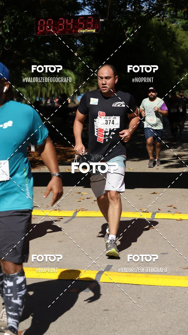 Acquista le foto dell'eventoPIT BULL RUNNING in Fotop