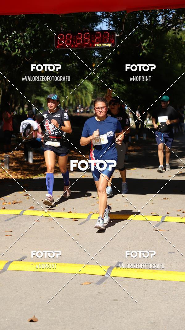 Compre as suas fotos do eventoPIT BULL RUNNING no Fotop