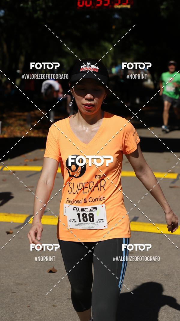 Compre as suas fotos do eventoPIT BULL RUNNING no Fotop