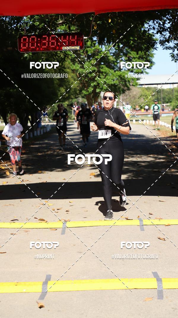 Compre as suas fotos do eventoPIT BULL RUNNING no Fotop