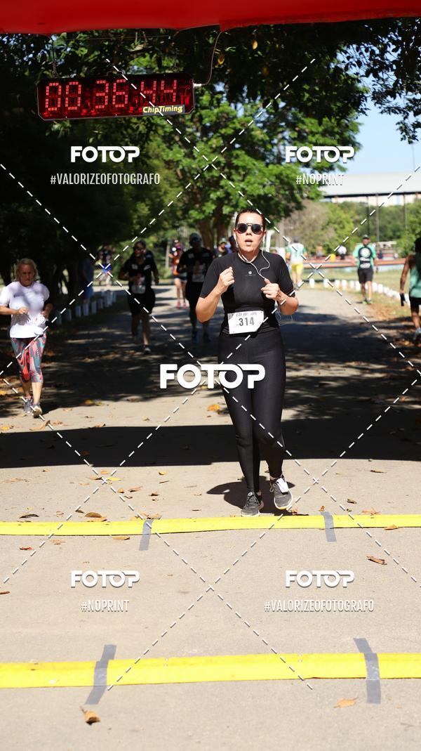 Compre as suas fotos do eventoPIT BULL RUNNING no Fotop