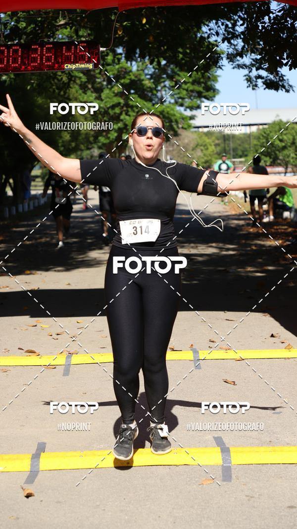 Compre as suas fotos do eventoPIT BULL RUNNING no Fotop