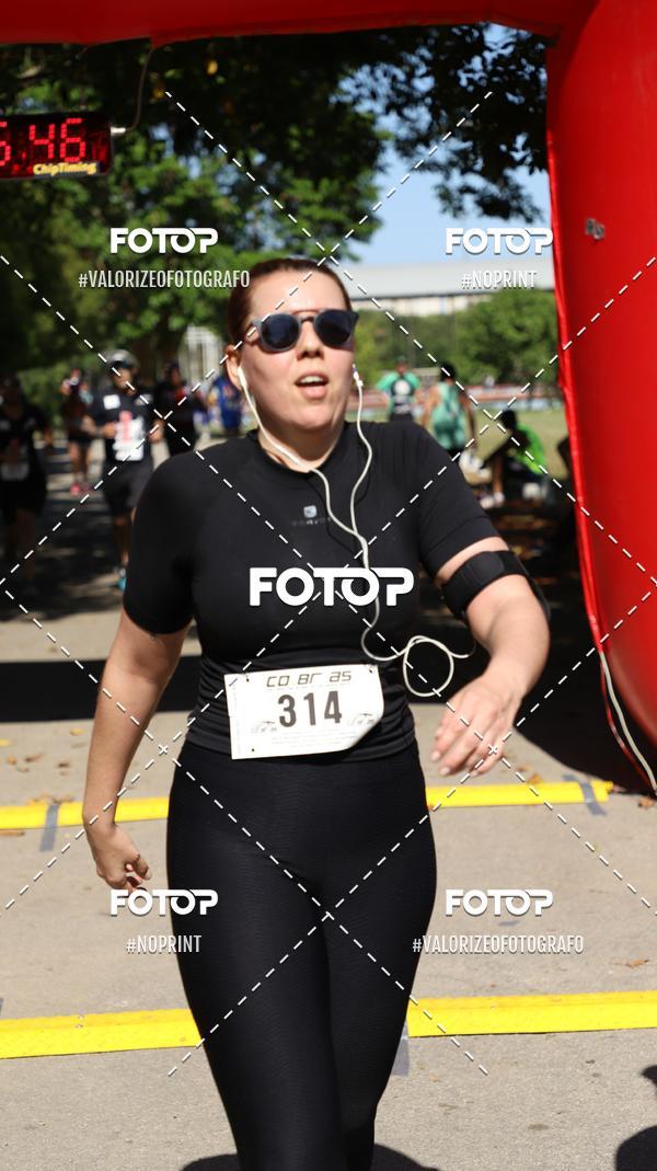 Compre as suas fotos do eventoPIT BULL RUNNING no Fotop