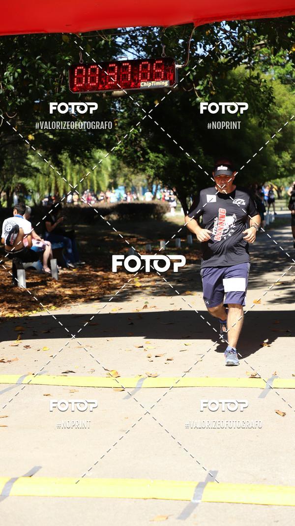 Compre as suas fotos do eventoPIT BULL RUNNING no Fotop