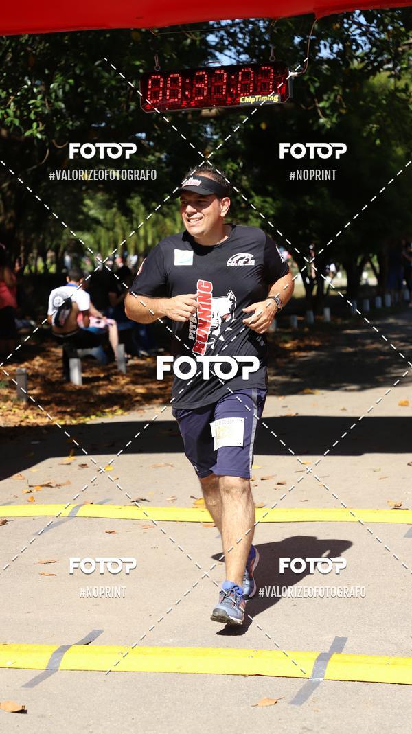 Compre as suas fotos do eventoPIT BULL RUNNING no Fotop