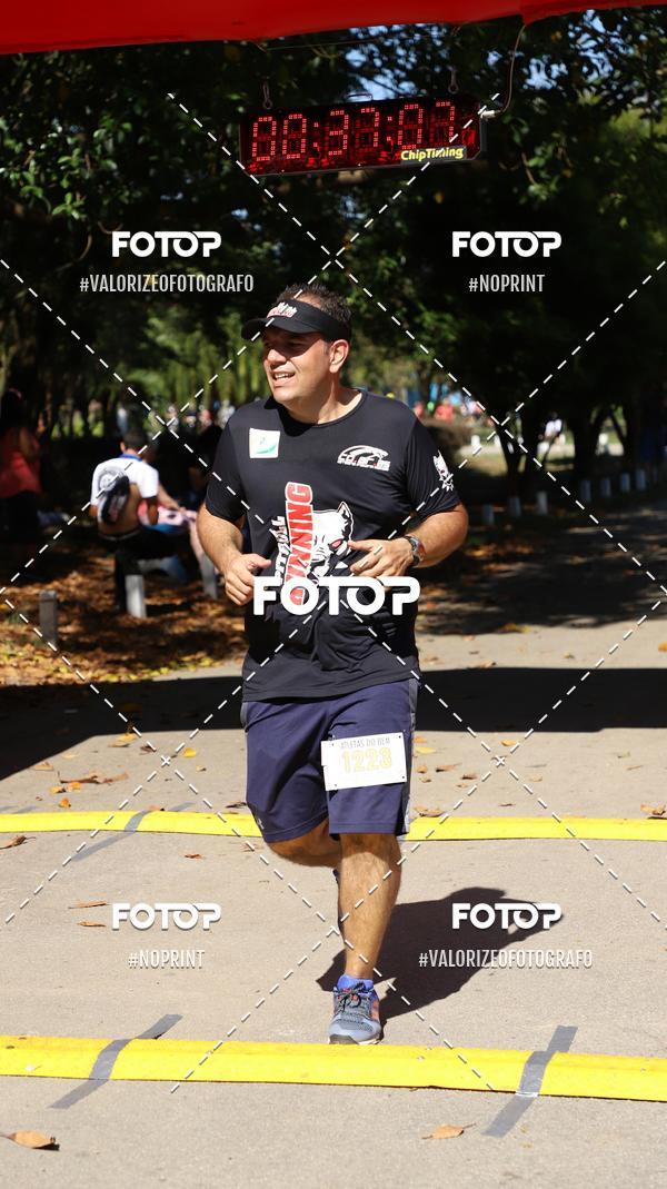 Compre as suas fotos do eventoPIT BULL RUNNING no Fotop