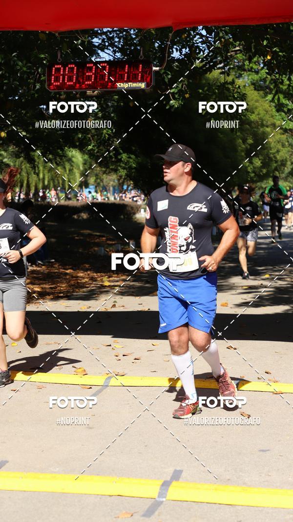 Compre suas fotos do eventoPIT BULL RUNNING no Fotop