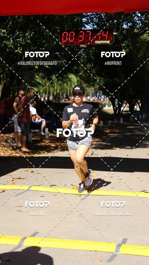 Compre suas fotos do eventoPIT BULL RUNNING no Fotop