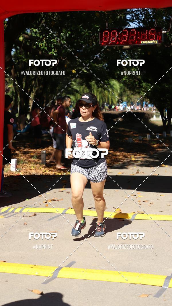 Compre suas fotos do eventoPIT BULL RUNNING no Fotop