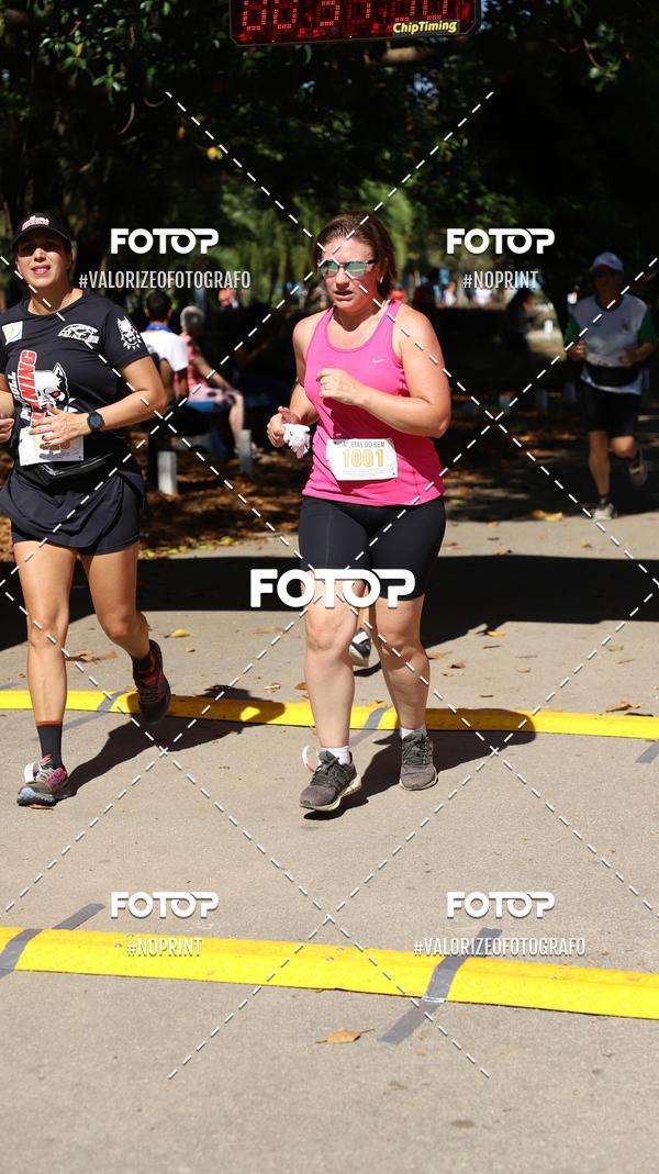 Compre suas fotos do eventoPIT BULL RUNNING no Fotop