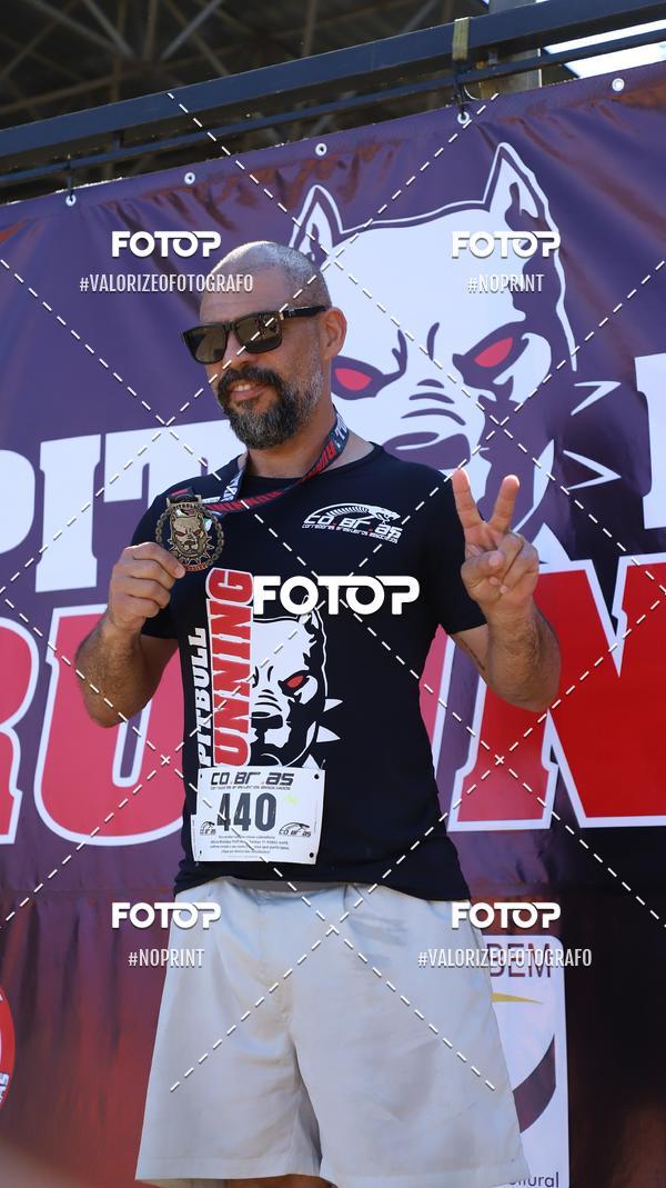 Compre suas fotos do eventoPIT BULL RUNNING no Fotop