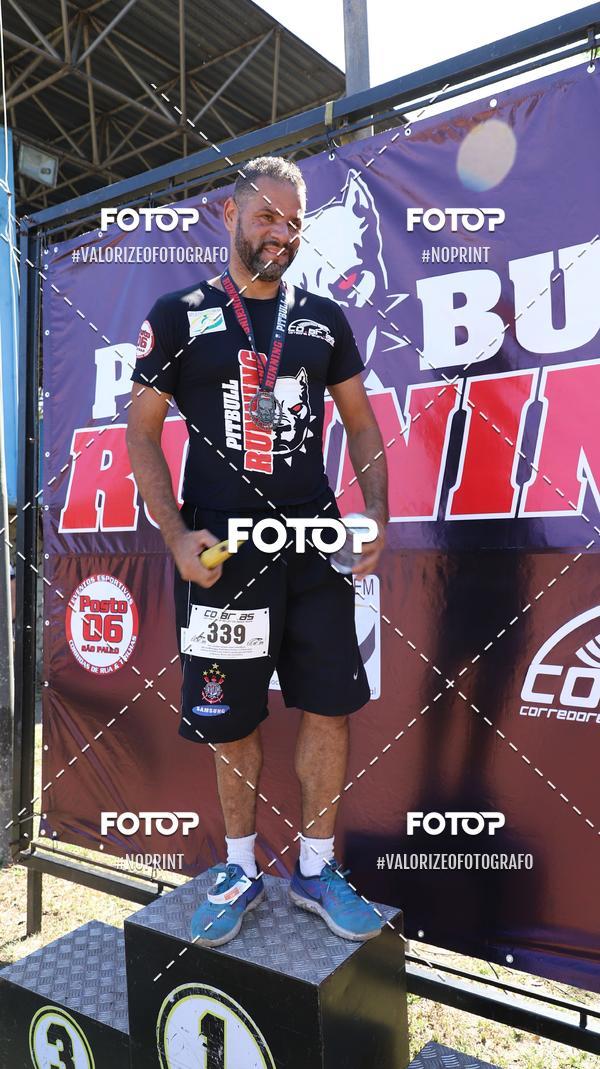Compra tus fotos del eventoPIT BULL RUNNING En Fotop