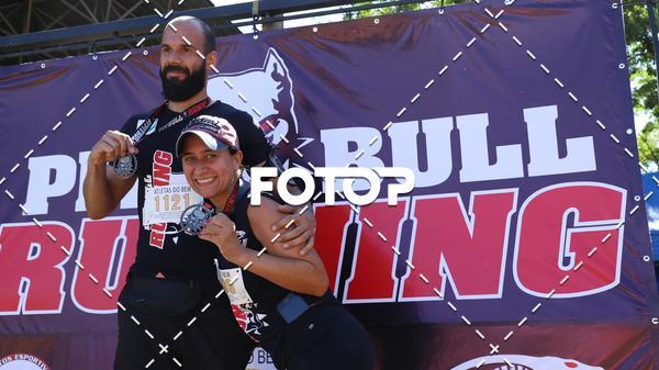 Compra tus fotos del eventoPIT BULL RUNNING En Fotop