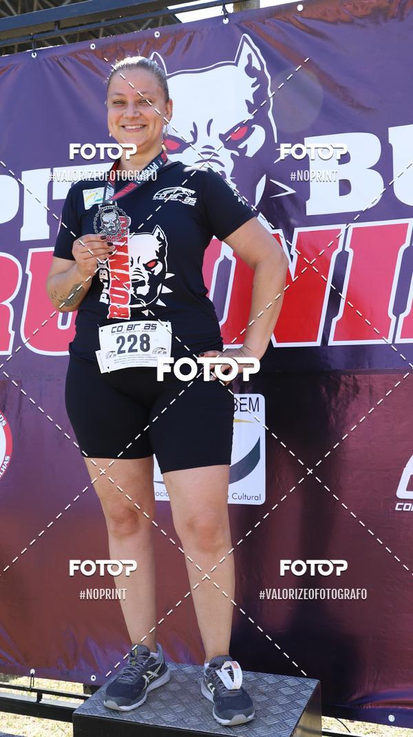 Compra tus fotos del eventoPIT BULL RUNNING En Fotop