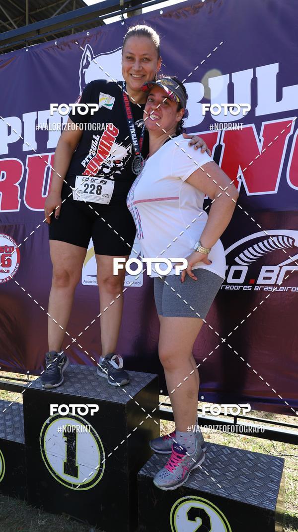 Compra tus fotos del eventoPIT BULL RUNNING En Fotop