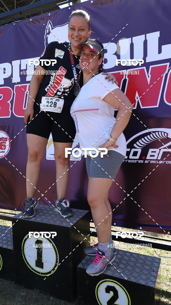 Compra tus fotos del eventoPIT BULL RUNNING En Fotop