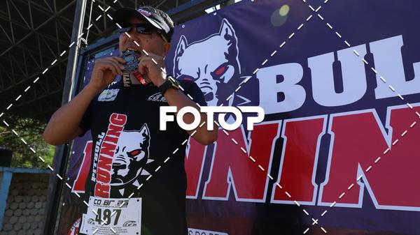 Acquista le foto dell'eventoPIT BULL RUNNING in Fotop