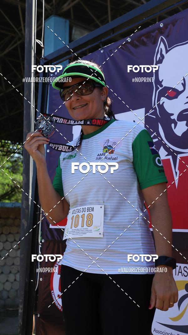 Acquista le foto dell'eventoPIT BULL RUNNING in Fotop