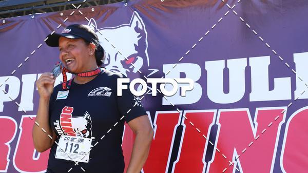 Acquista le foto dell'eventoPIT BULL RUNNING in Fotop