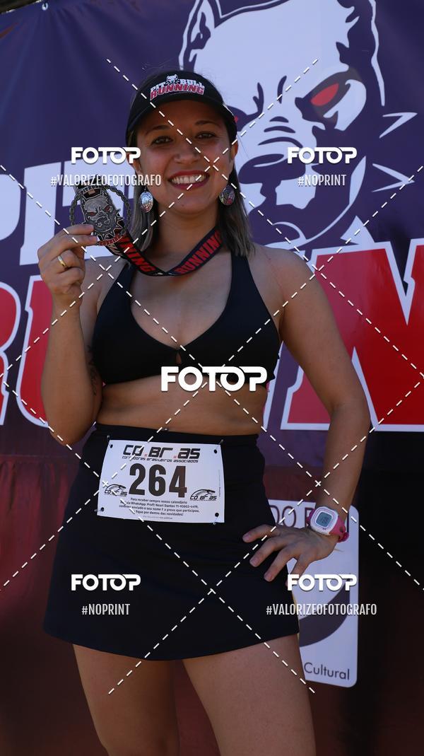 Buy your photos of the eventPIT BULL RUNNING on Fotop