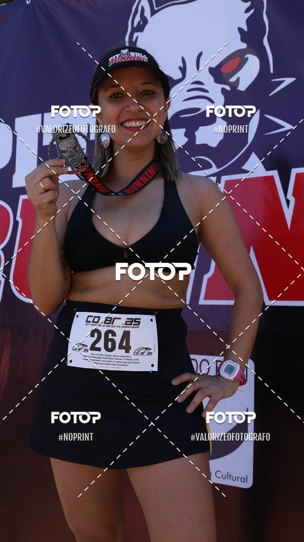 Buy your photos of the eventPIT BULL RUNNING on Fotop