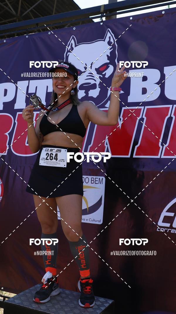 Buy your photos of the eventPIT BULL RUNNING on Fotop