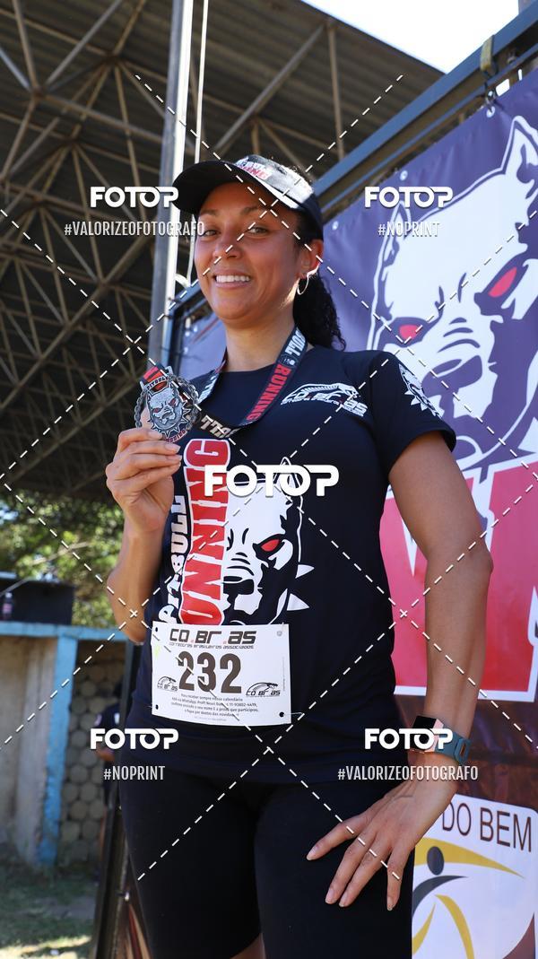Buy your photos of the eventPIT BULL RUNNING on Fotop