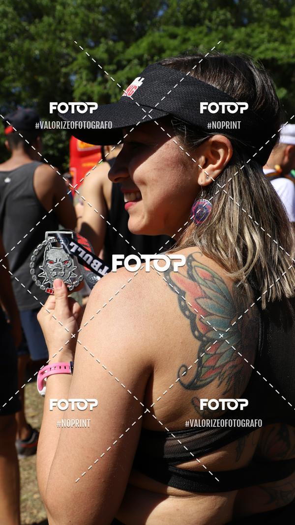Buy your photos of the eventPIT BULL RUNNING on Fotop
