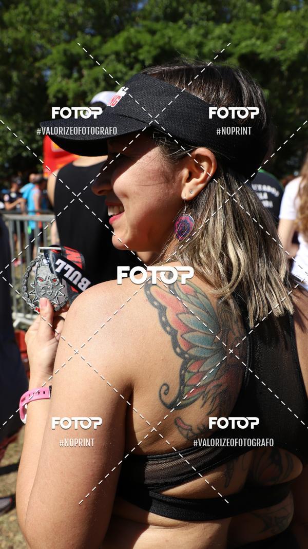 Buy your photos of the eventPIT BULL RUNNING on Fotop