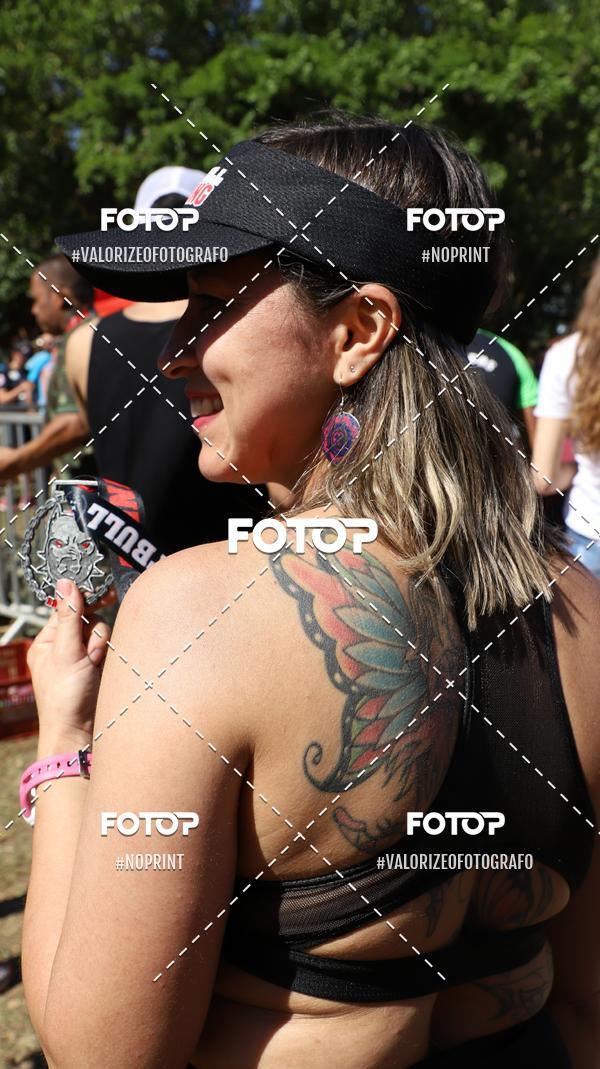 Buy your photos of the eventPIT BULL RUNNING on Fotop