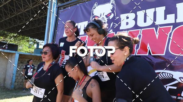 Achetez vos photos de l'vnementPIT BULL RUNNING sur Fotop