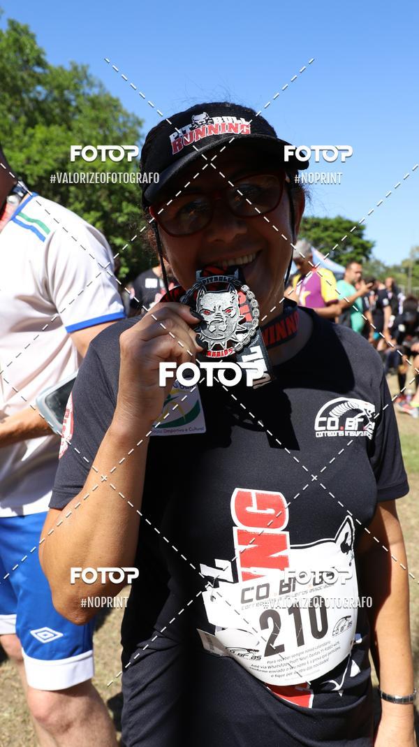 Compra tus fotos del eventoPIT BULL RUNNING En Fotop