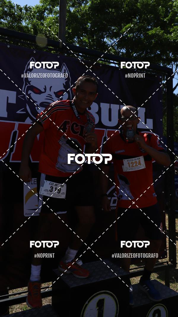Compra tus fotos del eventoPIT BULL RUNNING En Fotop