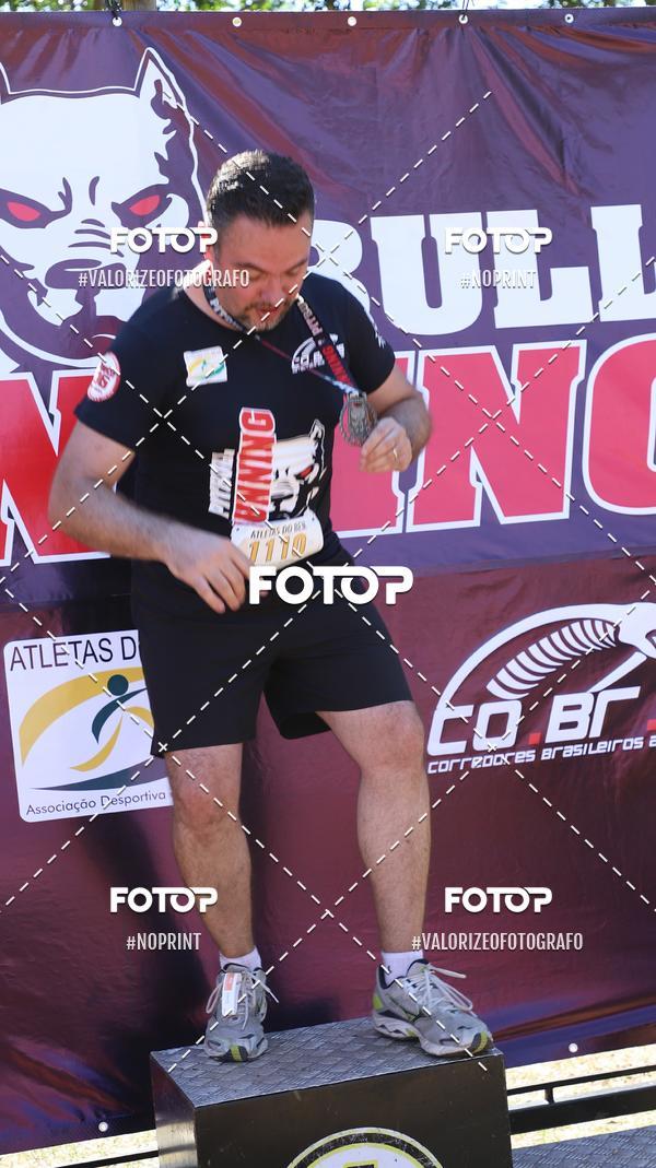 Compra tus fotos del eventoPIT BULL RUNNING En Fotop