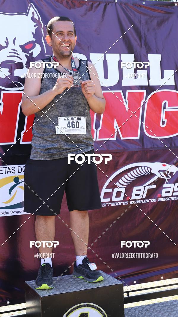 Compra tus fotos del eventoPIT BULL RUNNING En Fotop