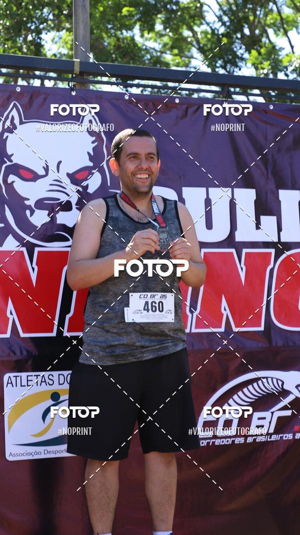 Compra tus fotos del eventoPIT BULL RUNNING En Fotop