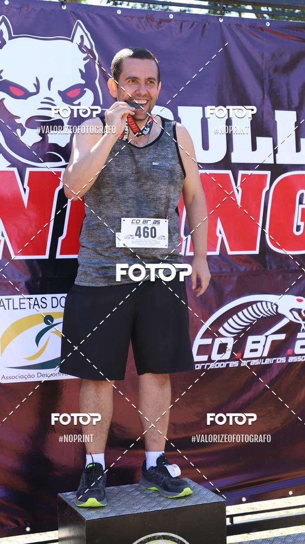 Compra tus fotos del eventoPIT BULL RUNNING En Fotop