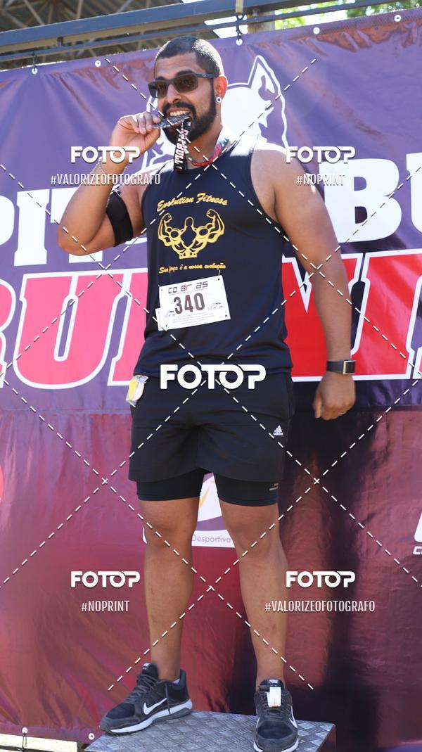 Compra tus fotos del eventoPIT BULL RUNNING En Fotop