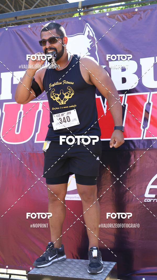 Compra tus fotos del eventoPIT BULL RUNNING En Fotop