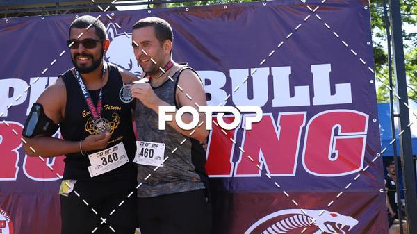 Compra tus fotos del eventoPIT BULL RUNNING En Fotop