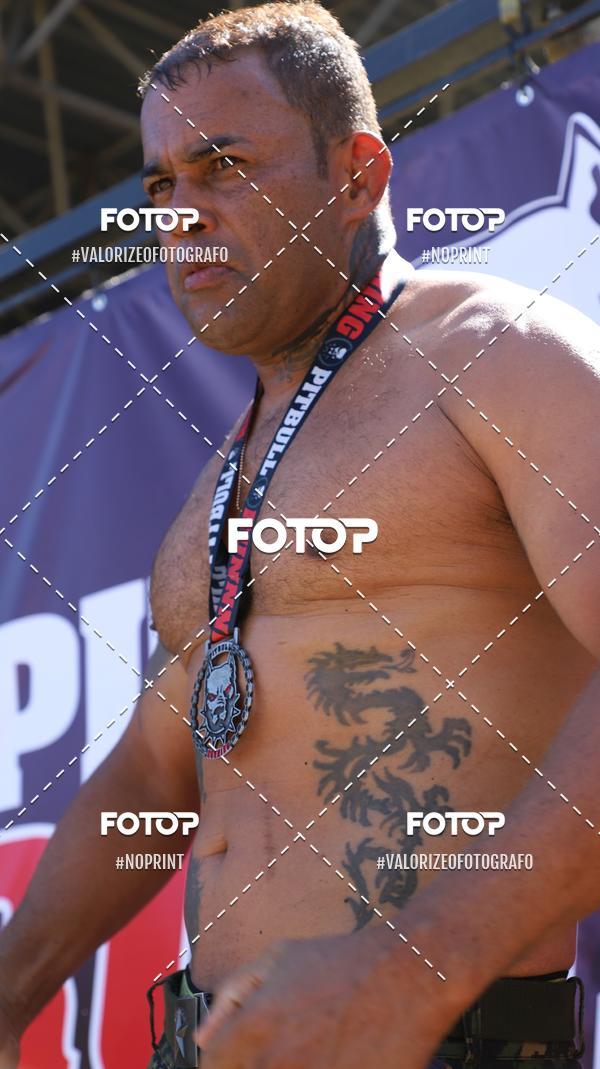 Compra tus fotos del eventoPIT BULL RUNNING En Fotop